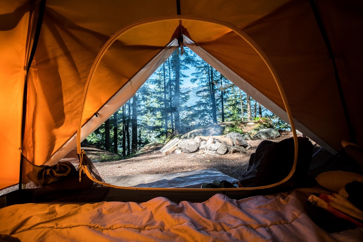 Tales of the Wild: Stories That’ll Make You Laugh